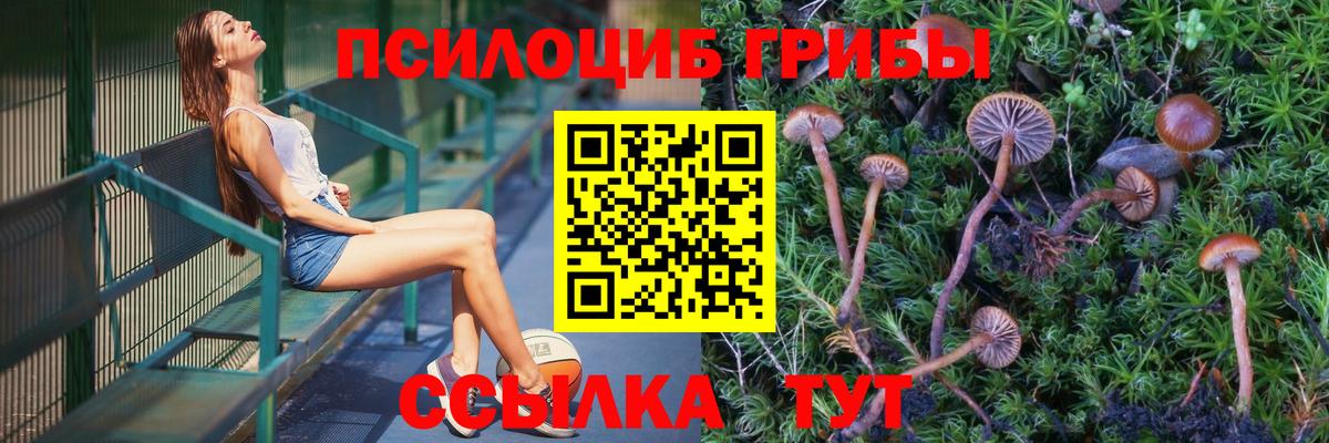 Рязань  где купить   Галлюциногенные грибы ЛСД  Вход с VPN  Галлюциногенные грибы Cubensis 