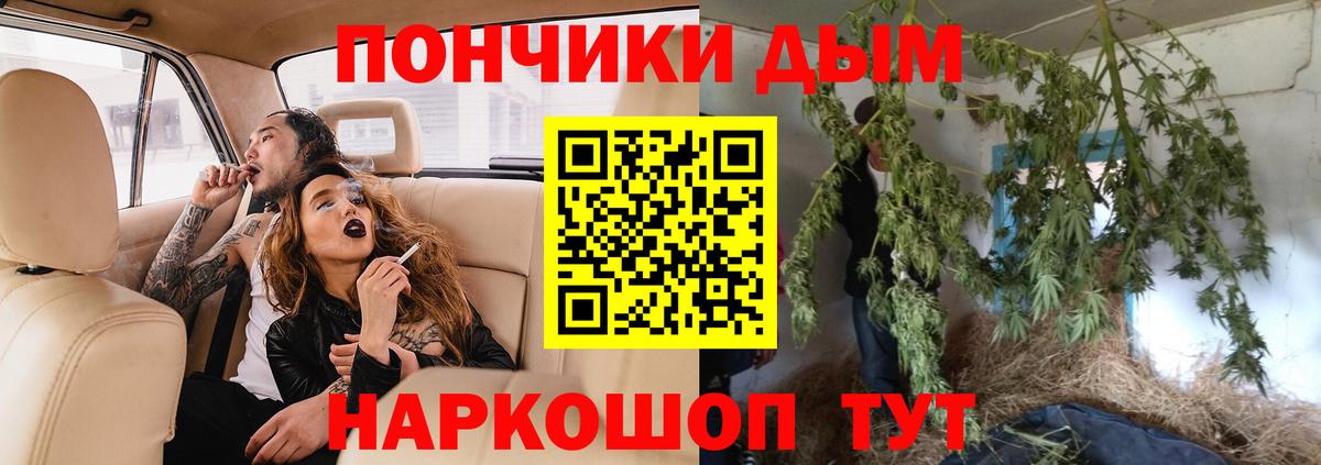Бошки Шишки Ganja  Конопля сатива  Вход с VPN  Рязань 